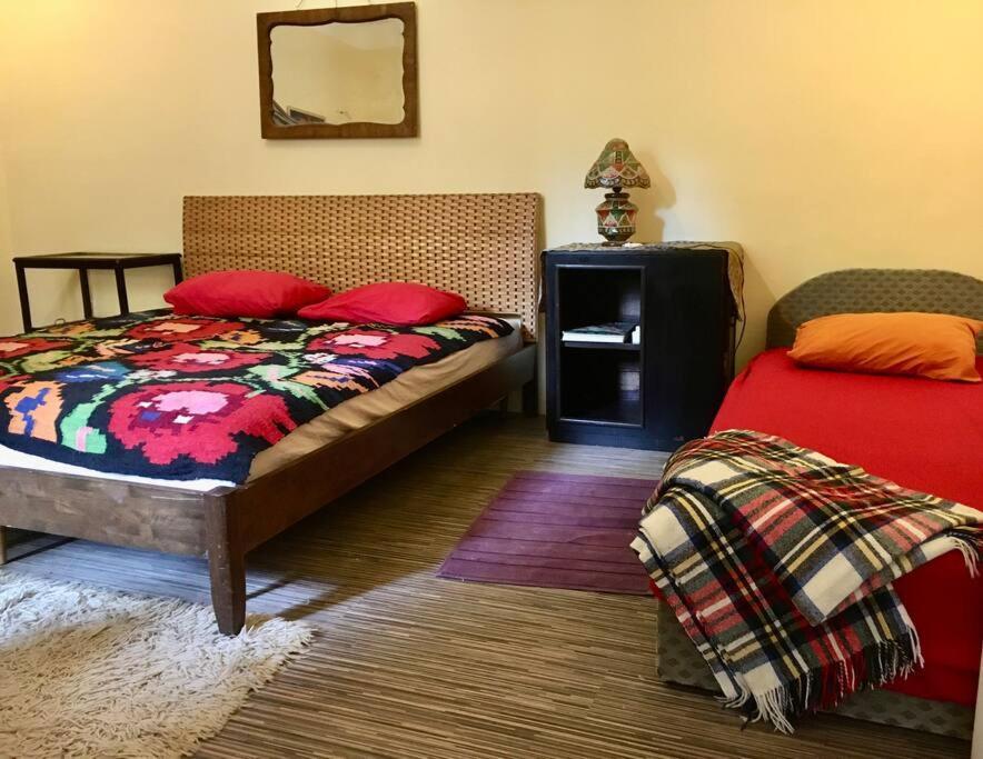 Vintage Studio Apartment, Garden And Free Parking Budapest Exterior photo